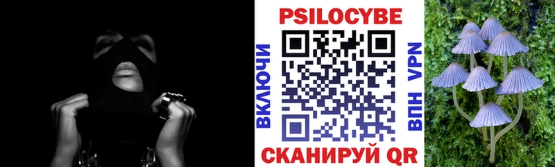 Псилоцибиновые грибы мицелий  закладка  Тюкалинск 
